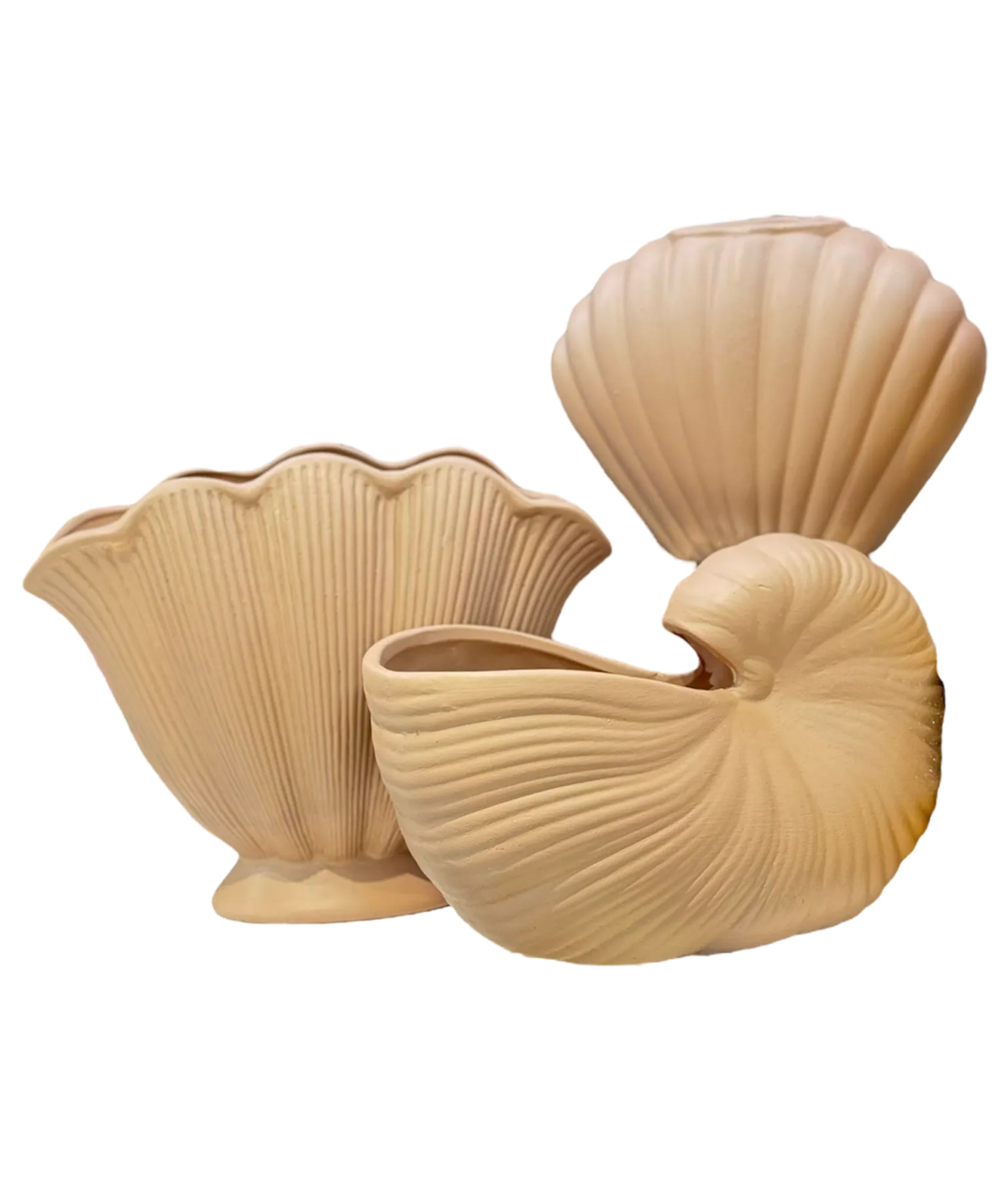 Set Fejesë 24